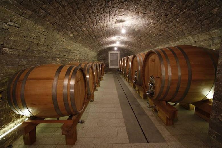 Апартаменти Kmetija Tomazic Vinska Klet - Winery Віпава Екстер'єр фото