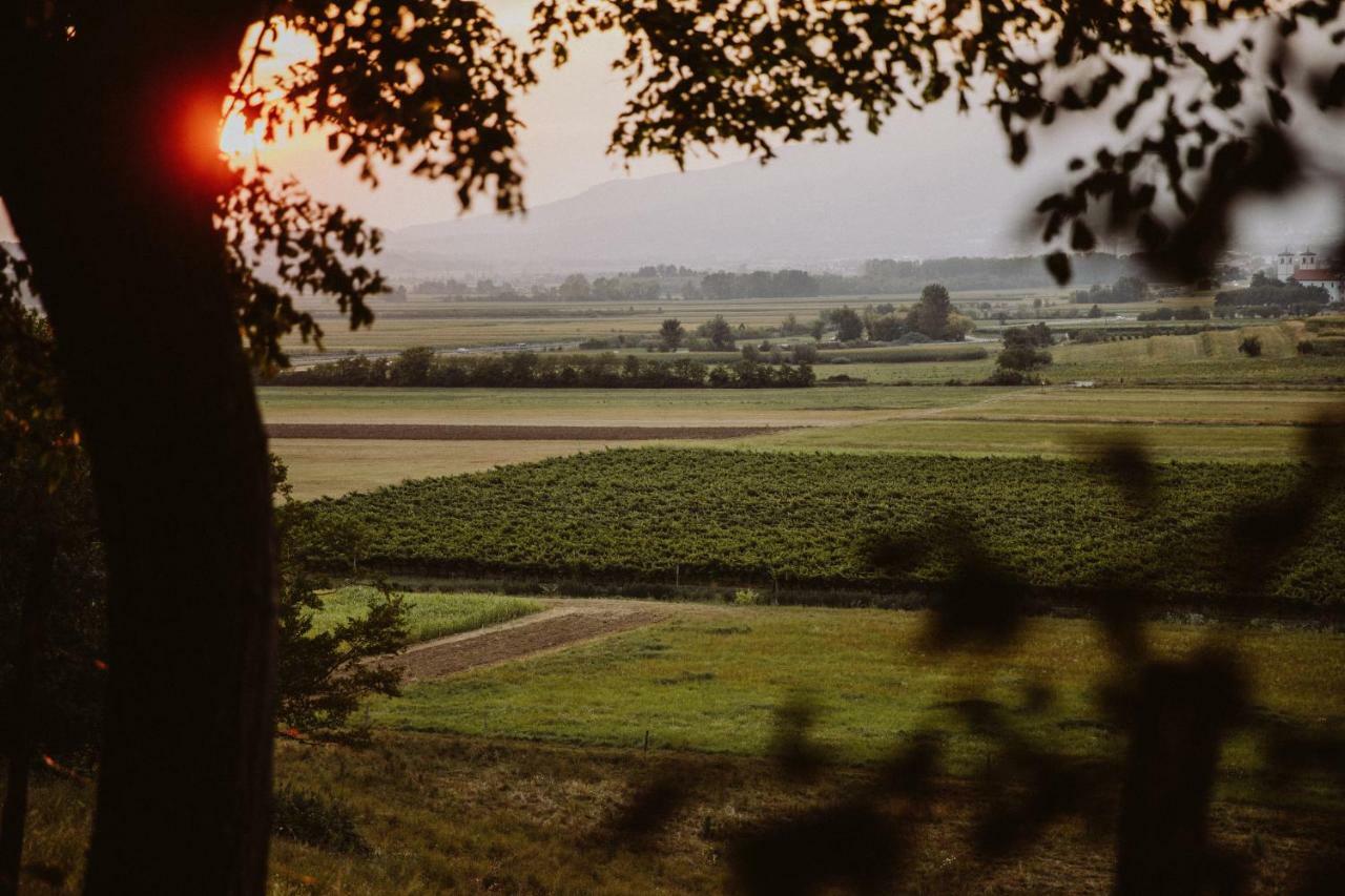 Апартаменти Kmetija Tomazic Vinska Klet - Winery Віпава Екстер'єр фото